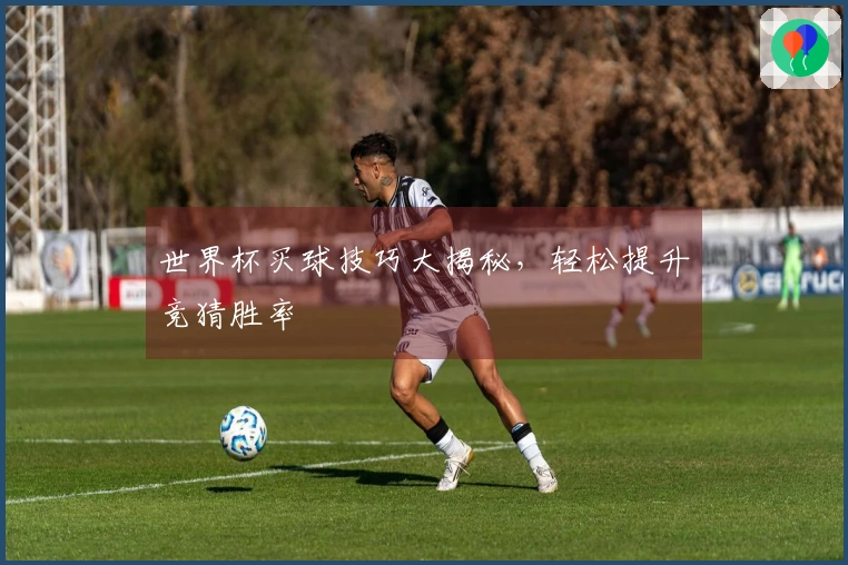世界杯买球技巧大揭秘，轻松提升竞猜胜率