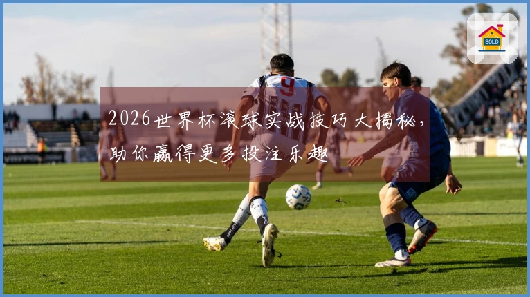 2026世界杯滚球实战技巧大揭秘,助你赢得更多投注乐趣