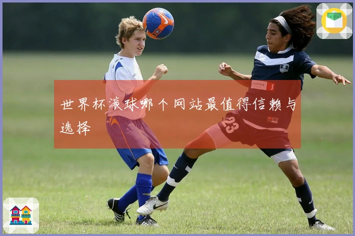 世界杯滚球哪个网站最值得信赖与选择