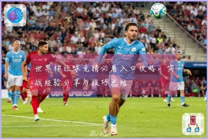 世界杯让球竞猜必看入口攻略，实战经验分享与技巧总结