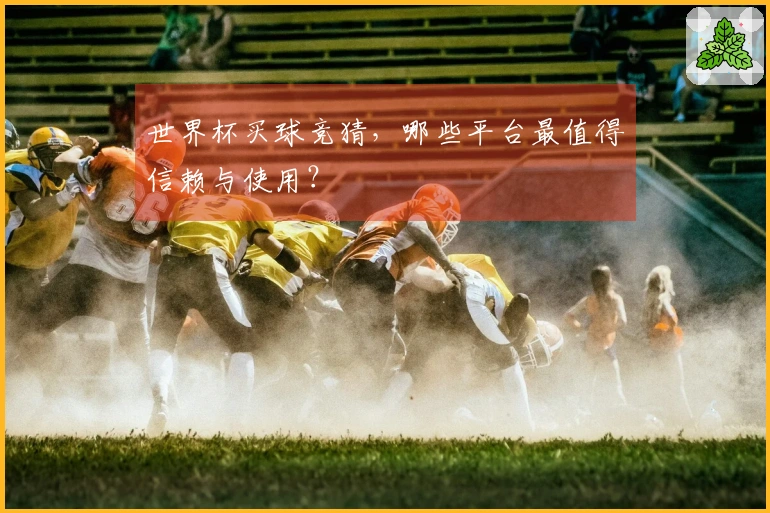 世界杯买球竞猜，哪些平台最值得信赖与使用？