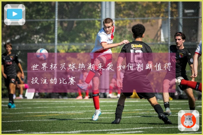 世界杯买球热潮来袭 如何判断值得投注的比赛