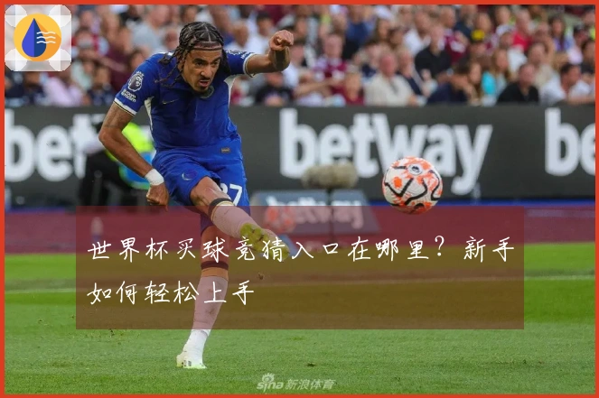 世界杯买球竞猜入口在哪里？新手如何轻松上手