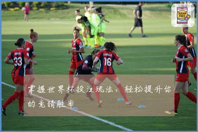 掌握世界杯投注玩法，轻松提升你的竞猜胜率