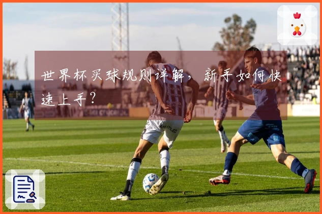 世界杯买球规则详解，新手如何快速上手？