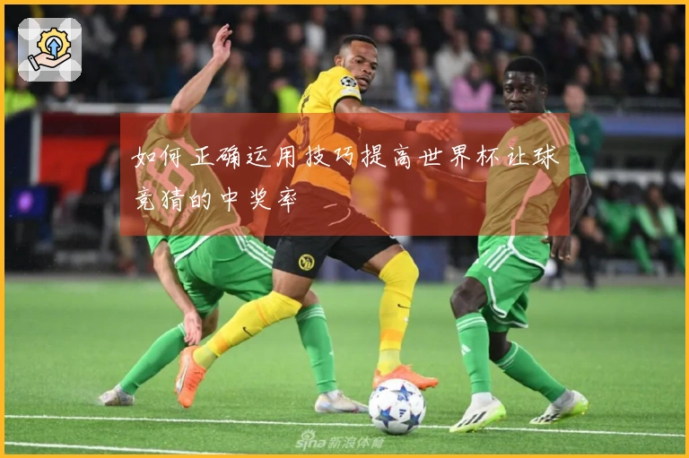 如何正确运用技巧提高世界杯让球竞猜的中奖率