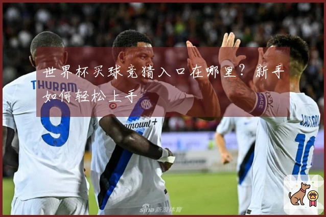 世界杯买球竞猜入口在哪里？新手如何轻松上手