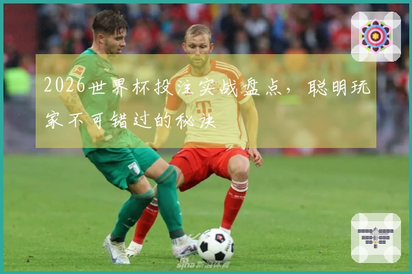 2026世界杯投注实战盘点，聪明玩家不可错过的秘诀