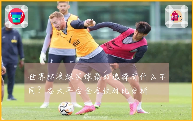 世界杯滚球买球最好选择有什么不同？各大平台全方位对比分析