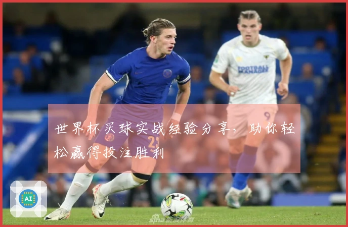 世界杯买球实战经验分享，助你轻松赢得投注胜利